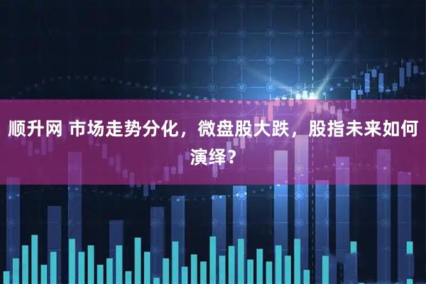 顺升网 市场走势分化，微盘股大跌，股指未来如何演绎？