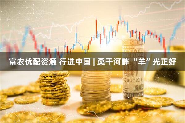 富农优配资源 行进中国 | 桑干河畔 “羊”光正好